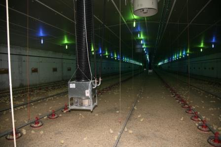 Теплогенератор CUBO для птахофабрик